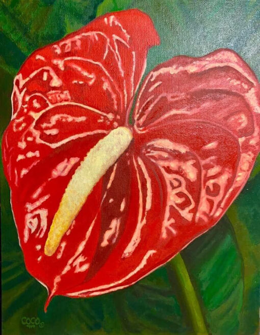 Anthurium by Coco