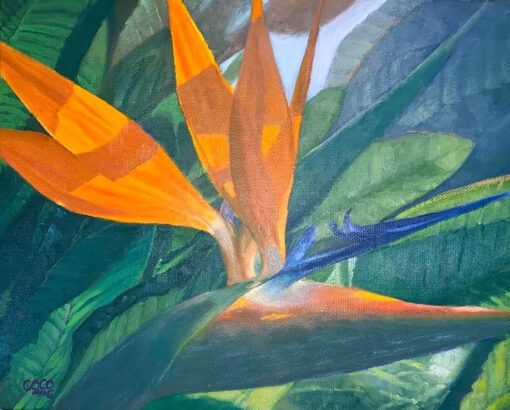 Bird of Paradise by Coco