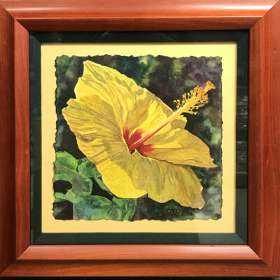 Yellow Hibiscus by Coco