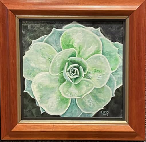 Succulent 12x12 by Coco