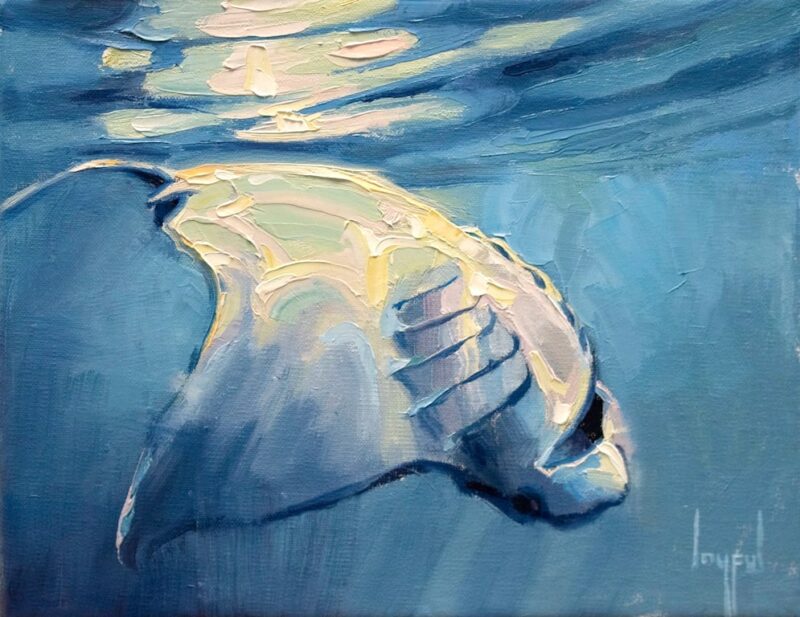 Ocean Diver 8X10 by Joyful | Tabora Gallery