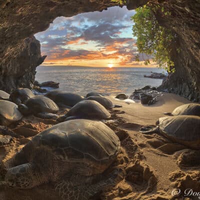 Cave of the Ancient Mariners by Doug Perrine