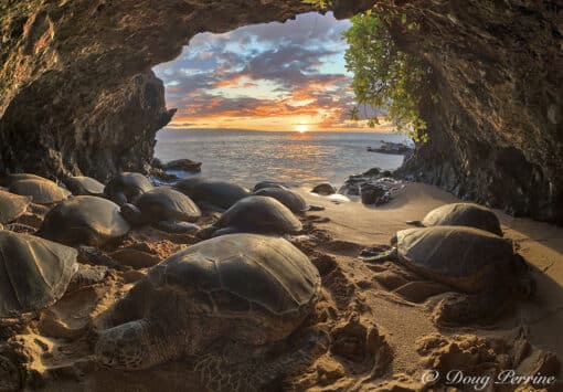 Cave of the Ancient Mariners by Doug Perrine