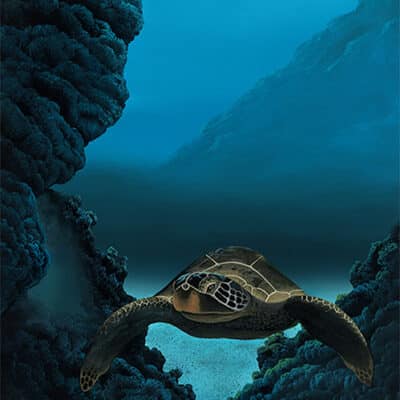 Turtle Hideaway 48x20 by Ernest young