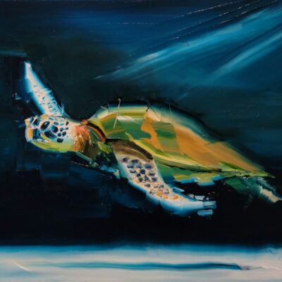 Honu By Moonlight 12x16 by Chuck Joseph