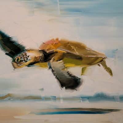 Tranquil Honu 12x16 by Chuck Joseph