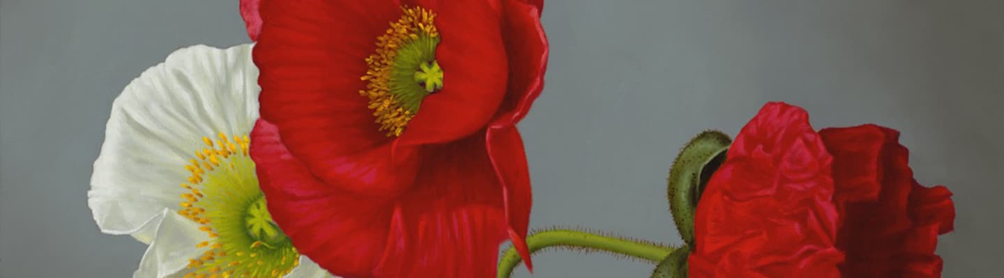 Rino header floral Rino - header-floral